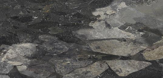 ARGOS BLACK 60X120