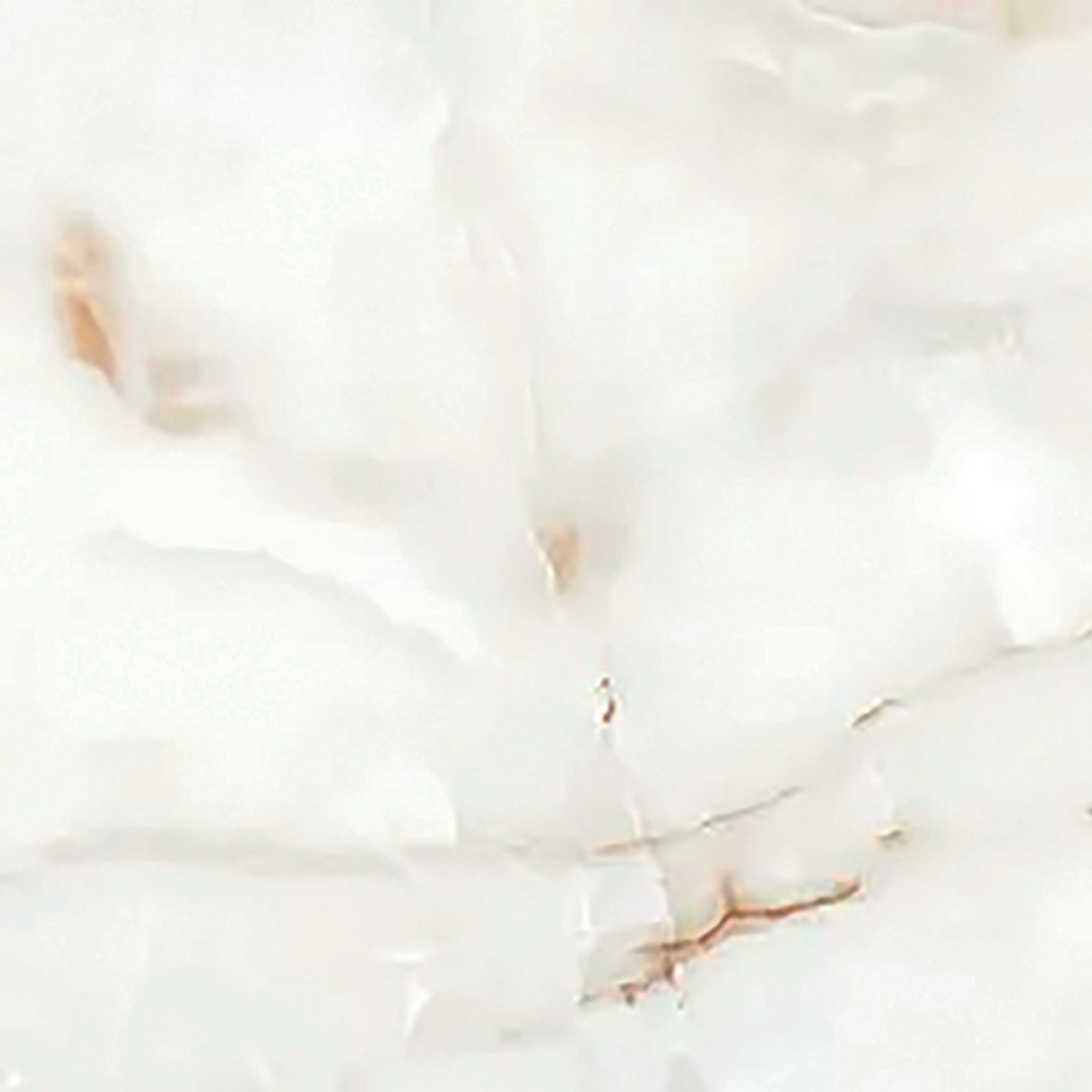 Anty Onyx 100×100 Glossy