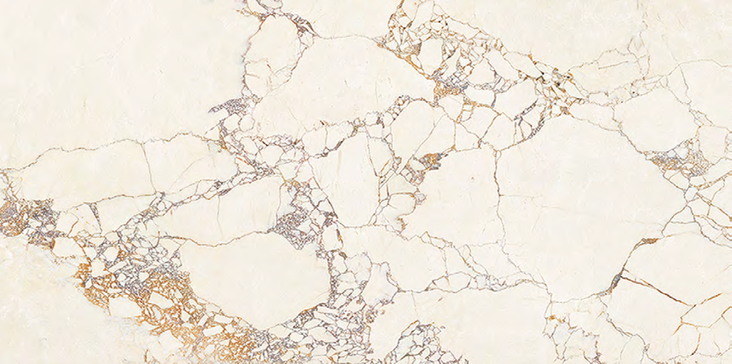 Barle Ivory Carving 60×120 cm Matte