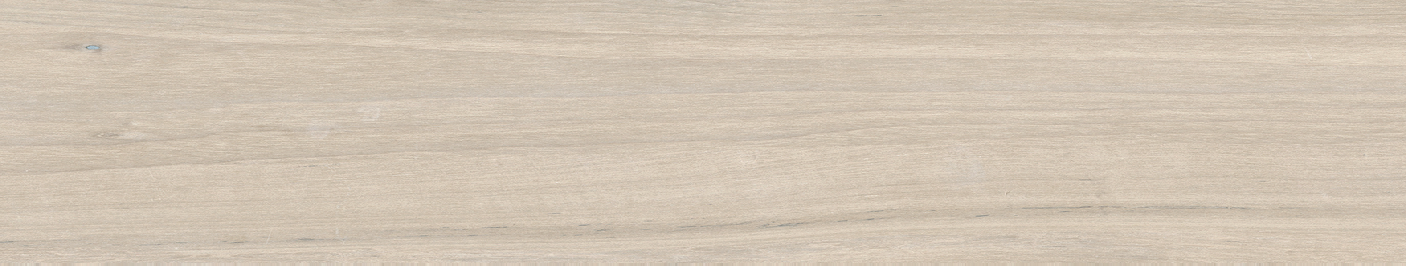 Bosco Invierno 22,5×119,5 Matt