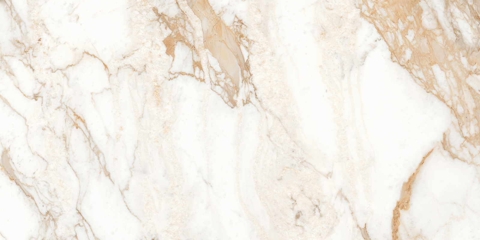 CALACATTA ORO GRANDE 80X160