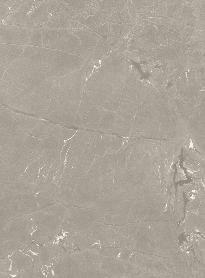 Neeko Taupe 60x120
