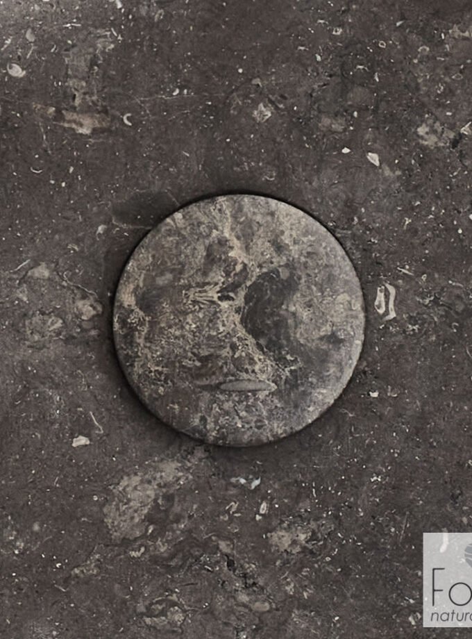 &Tau;ά&pi;&alpha; &Nu;&iota;&pi;&tau;ή&rho;&alpha; Fossil Grey