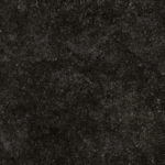 Fossil Black