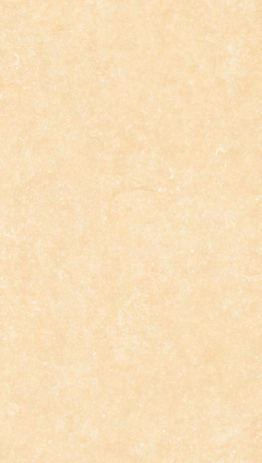Fossil Crema