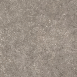 Fossil Grey