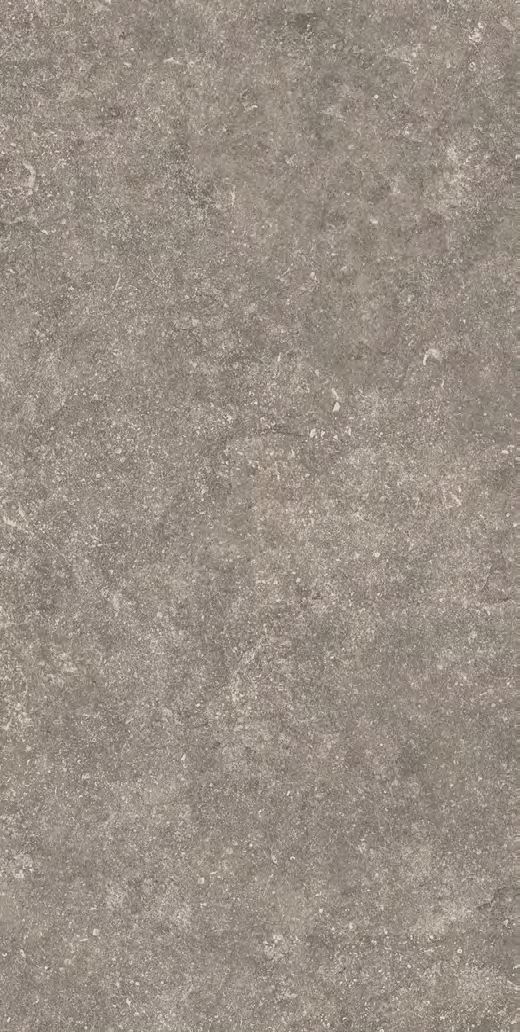 Fossil Grey