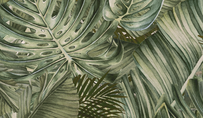 Vegetal Trend 33,3&times;100